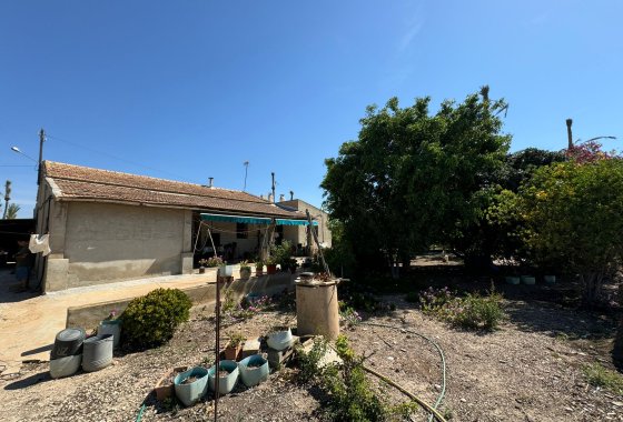 Casa de campo/Finca - Reventa - La Marina - La Marina