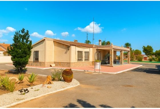 Country House/Finca - Resale - Elche Pedanías - Las Bayas