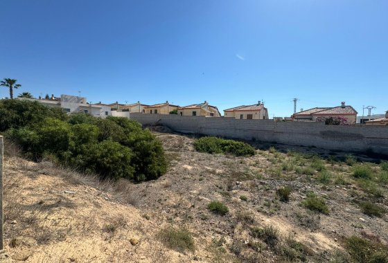 Parcela / Terreno - Reventa - La Marina - La Marina