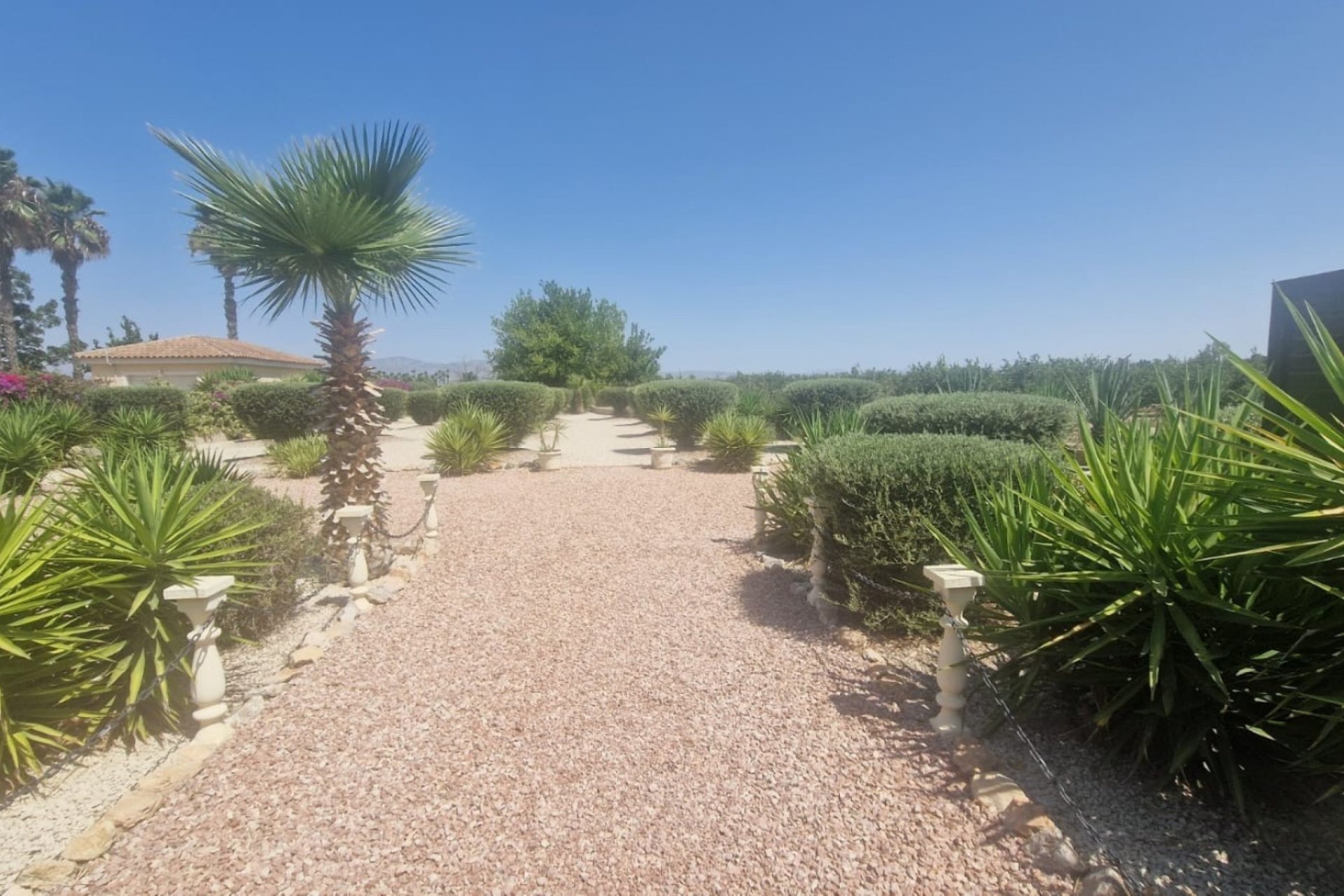 Resale - Country House/Finca - Catral