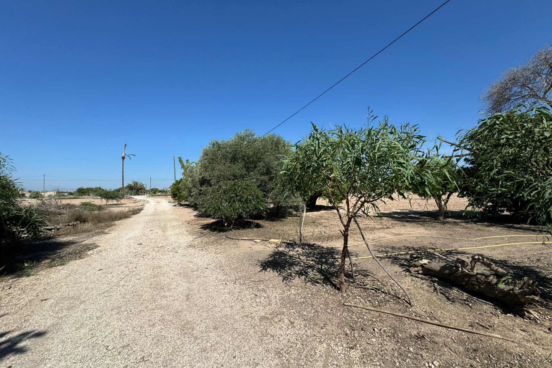 Reventa - Casa de campo/Finca - La Marina