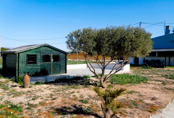 Wiederverkauf - Landhaus/Finca - Callosa De Segura