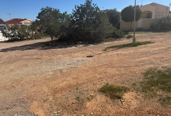 Resale - Detached Villa - La Marina