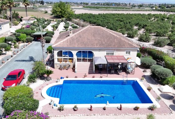 Resale - Country House/Finca - Catral