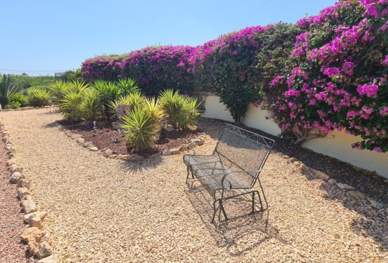 Resale - Country House/Finca - Catral