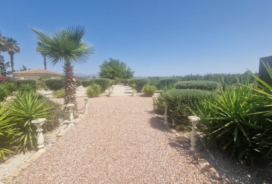 Resale - Country House/Finca - Catral