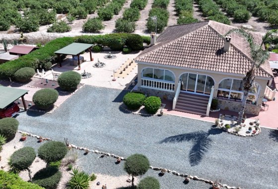 Resale - Country House/Finca - Catral